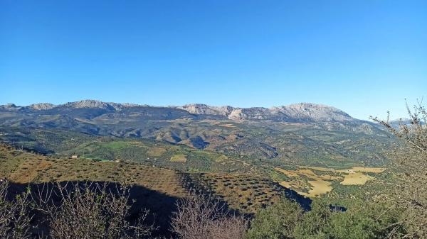 Terreno en camino de Solano
