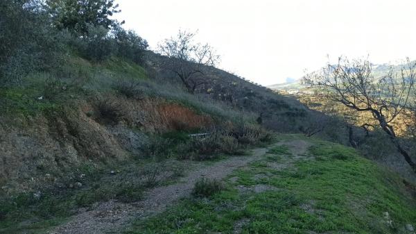 Terreno en camino de Solano