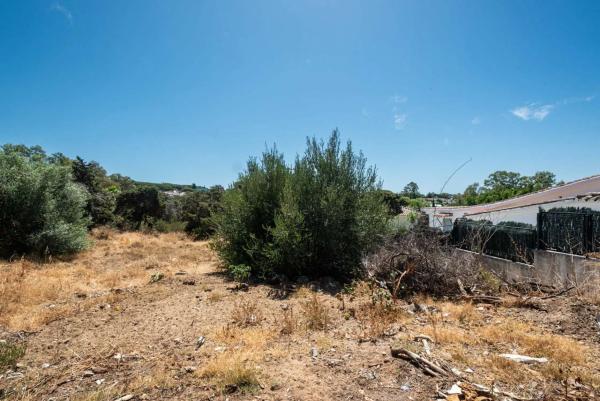 Terreno en calle de los Alcotanes, 97 -15