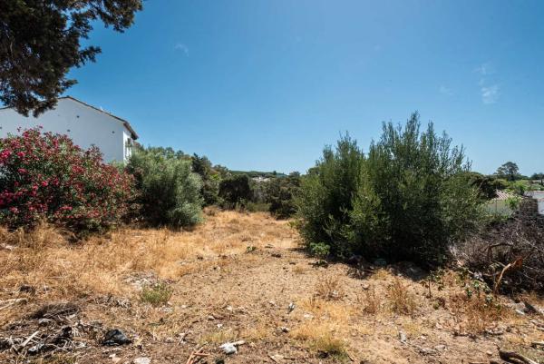Terreno en calle de los Alcotanes, 97 -15