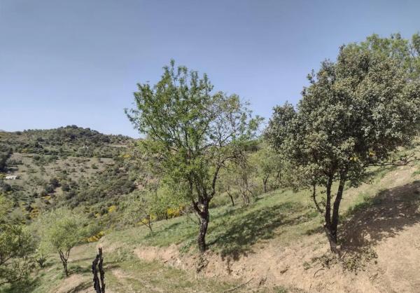 Terreno en a 369 s/n