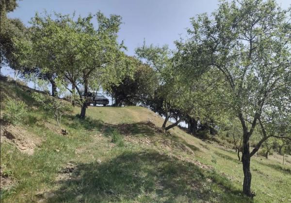 Terreno en a 369 s/n