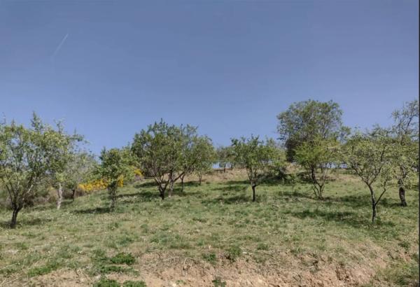 Terreno en a 369 s/n