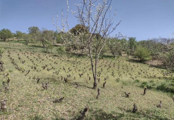 Terreno en a 369 s/n