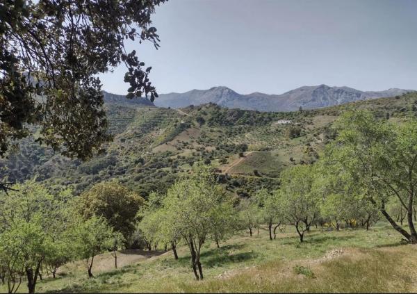 Terreno en a 369 s/n