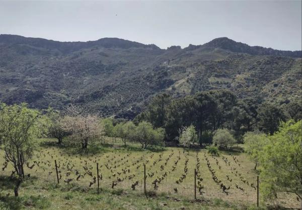 Terreno en a 369 s/n