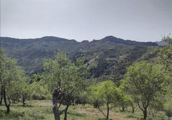 Terreno en a 369 s/n