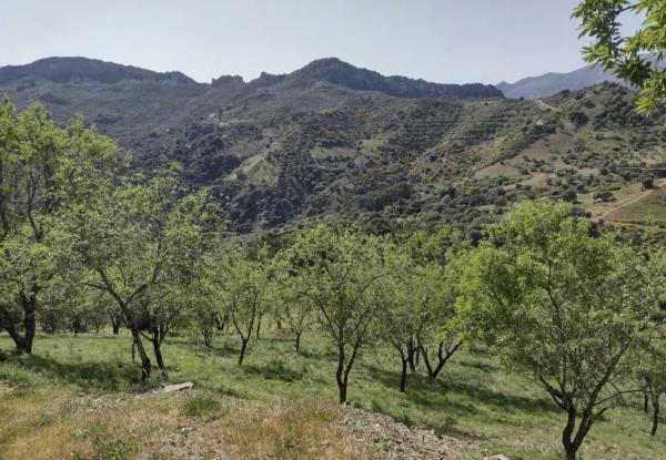 Terreno en a 369 s/n