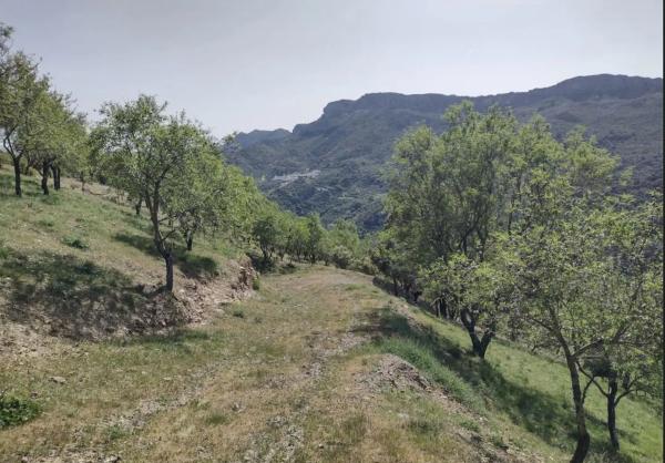 Terreno en a 369 s/n