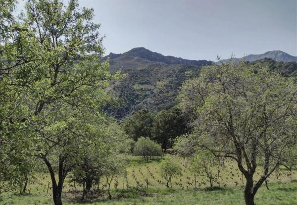 Terreno en a 369 s/n