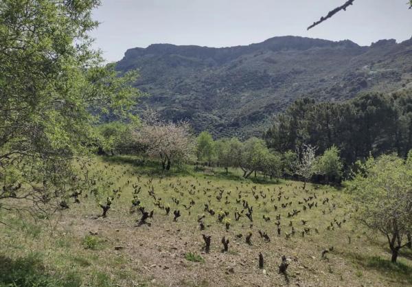 Terreno en a 369 s/n