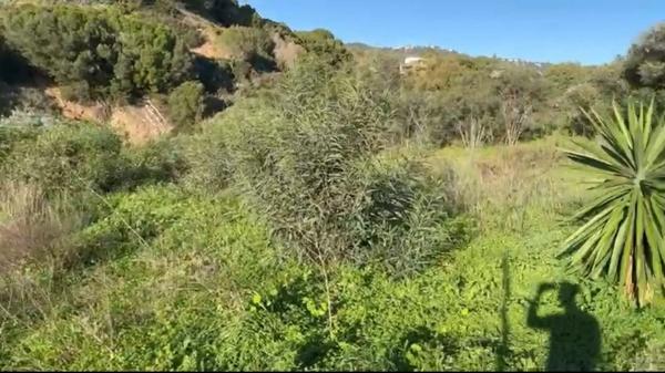 Terreno en paseo Walkway de Austria