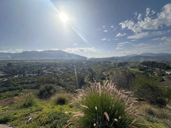 Terreno en calle Avestruz