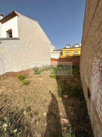 Terreno en calle Maestro Rural