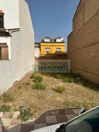 Terreno en calle Maestro Rural