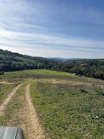 Terreno en via poligono 4 parcela 124 s/n