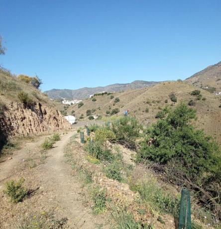 Terreno en arroyo especiero, 12