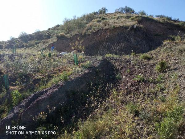 Terreno en arroyo especiero, 12