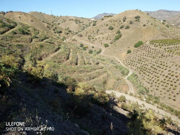 Terreno en arroyo especiero, 12