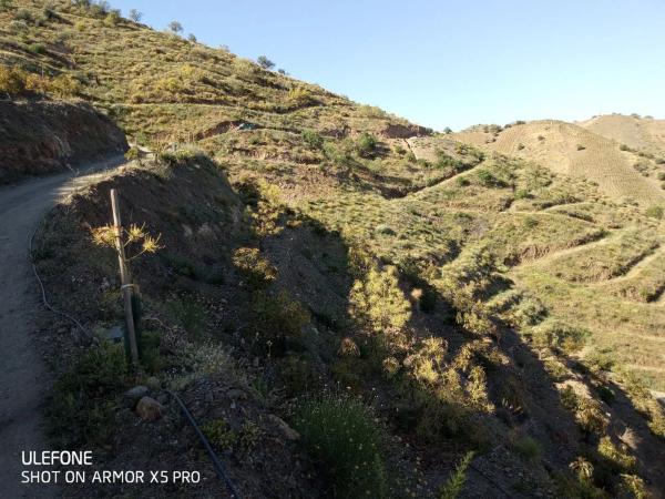 Terreno en arroyo especiero, 12