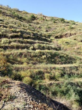 Terreno en arroyo especiero, 12