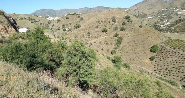 Terreno en arroyo especiero, 12