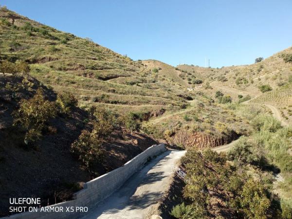 Terreno en arroyo especiero, 12