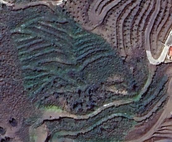 Terreno en arroyo especiero, 12