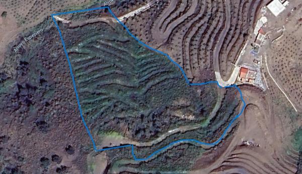 Terreno en arroyo especiero, 12