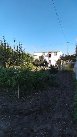 Terreno en calle Cristóbal Colón, 101