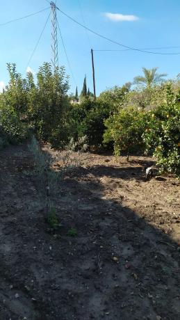 Terreno en calle Cristóbal Colón, 101