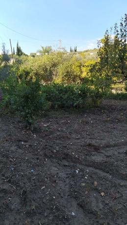 Terreno en calle Cristóbal Colón, 101
