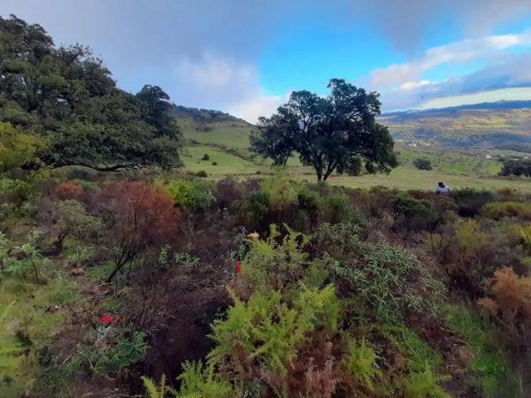 Terreno en paraje la solana s/n sn