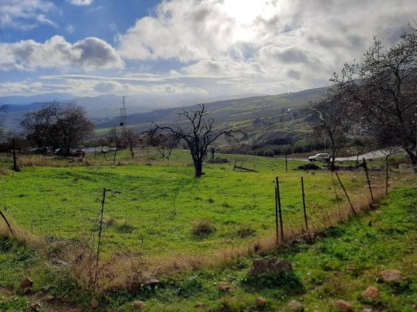 Terreno en paraje la solana s/n sn