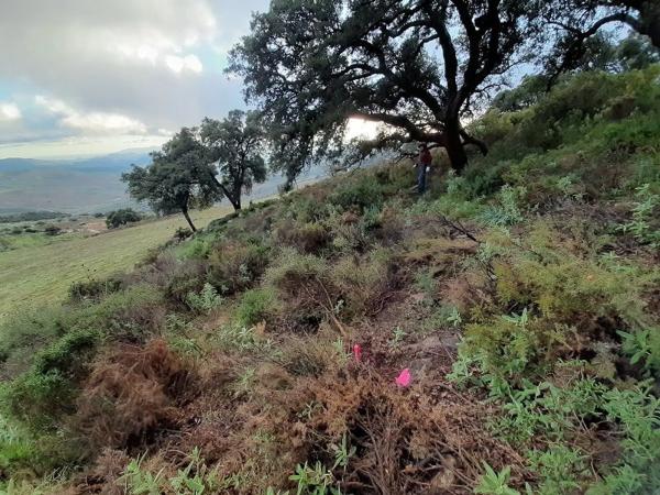 Terreno en paraje la solana s/n sn