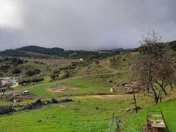 Terreno en paraje la solana s/n sn