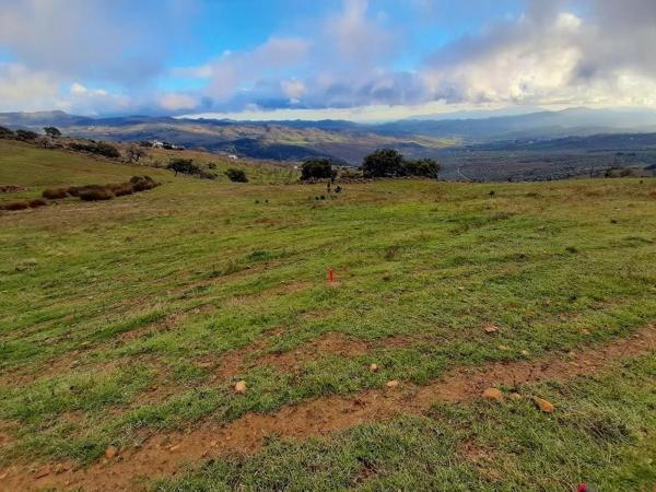 Terreno en paraje la solana s/n sn