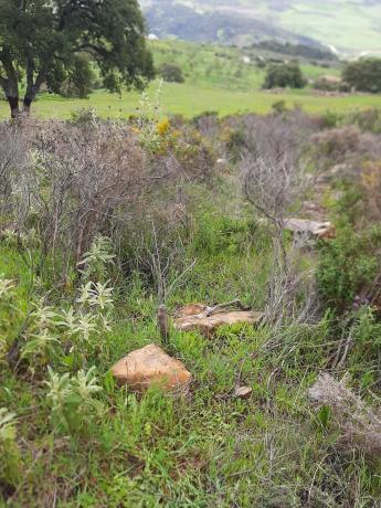 Terreno en paraje la solana s/n sn