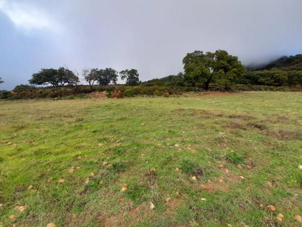 Terreno en paraje la solana s/n sn