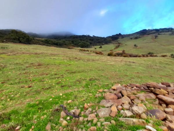 Terreno en paraje la solana s/n sn