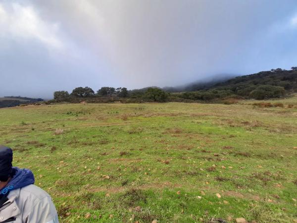 Terreno en paraje la solana s/n sn