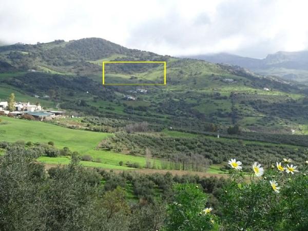 Terreno en paraje la solana s/n sn