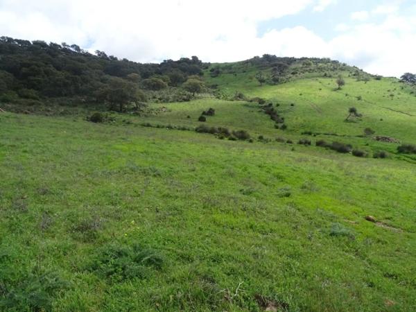 Terreno en paraje la solana s/n sn