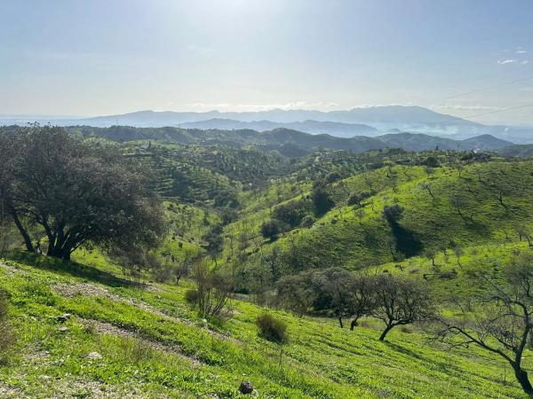 Terreno en Cártama pueblo
