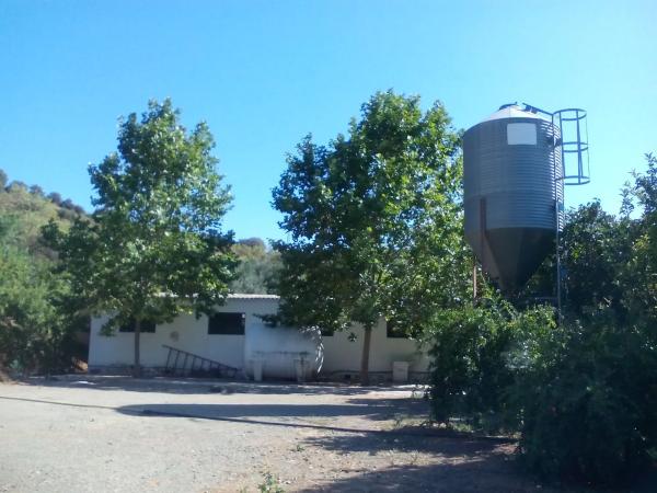 Terreno en lagunillas s/n