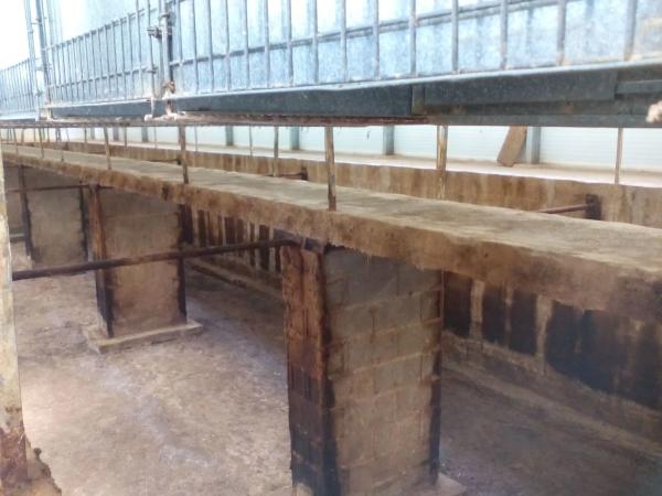 Terreno en lagunillas s/n