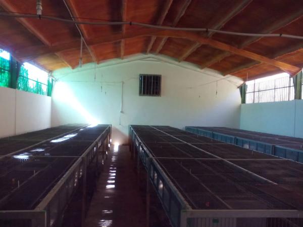 Terreno en lagunillas s/n