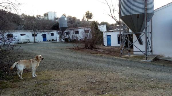 Terreno en lagunillas s/n