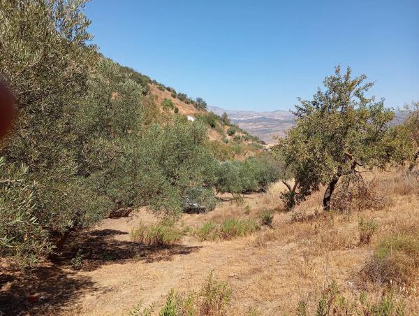 Terreno en Paraje Las Melosillas s/n Sn