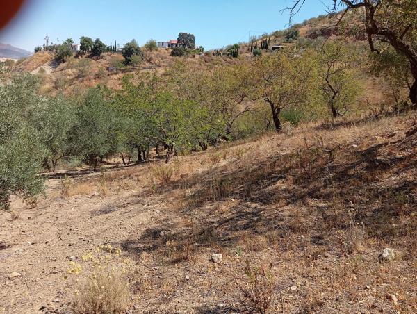 Terreno en Paraje Las Melosillas s/n Sn